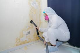 Asbestos and Lead Testing During Mold Inspection in West Jordan, UT